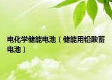 电化学储能电池（储能用铅酸蓄电池）