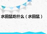 水田鼠吃什么（水田鼠）
