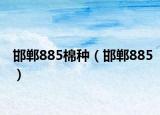 邯郸885棉种（邯郸885）