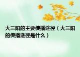 大三阳的主要传播途径（大三阳的传播途径是什么）