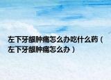 左下牙龈肿痛怎么办吃什么药（左下牙龈肿痛怎么办）