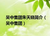 吴中集团朱天晓简介（吴中集团）