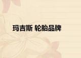 玛吉斯 轮胎品牌