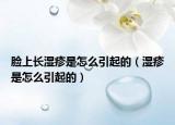 脸上长湿疹是怎么引起的（湿疹是怎么引起的）