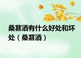 桑葚酒有什么好处和坏处（桑葚酒）