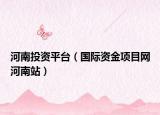 河南投资平台（国际资金项目网河南站）