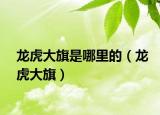龙虎大旗是哪里的（龙虎大旗）