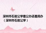 深圳市石岩公学是公办还是民办（深圳市石岩公学）