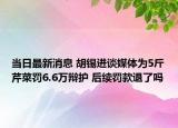 当日最新消息 胡锡进谈媒体为5斤芹菜罚6.6万辩护 后续罚款退了吗