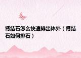 肾结石怎么快速排出体外（肾结石如何排石）