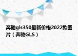 奔驰gls350最新价格2022款图片（奔驰GLS）