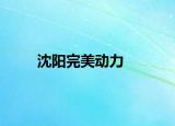 沈阳完美动力