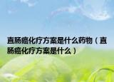 直肠癌化疗方案是什么药物（直肠癌化疗方案是什么）