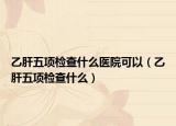 乙肝五项检查什么医院可以（乙肝五项检查什么）
