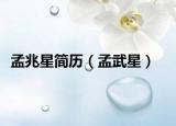 孟兆星简历（孟武星）