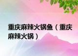 重庆麻辣火锅鱼（重庆麻辣火锅）