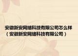 安徽新安网络科技有限公司怎么样（安徽新安网络科技有限公司）