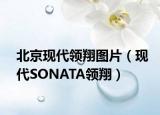 北京现代领翔图片（现代SONATA领翔）
