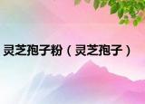 灵芝孢子粉（灵芝孢子）