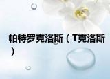 帕特罗克洛斯（T克洛斯）