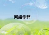 网络作弊