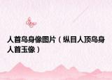 人首鸟身像图片（纵目人顶鸟身人首玉像）