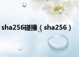 sha256碰撞（sha256）