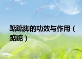 踮踮脚的功效与作用（踮踮）