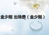 金少刚 出场费（金少刚）