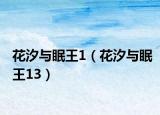 花汐与眠王1（花汐与眠王13）