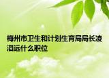 梅州市卫生和计划生育局局长凌滔远什么职位