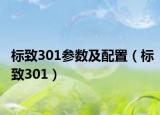 标致301参数及配置（标致301）