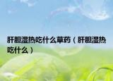 肝胆湿热吃什么草药（肝胆湿热吃什么）