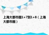 上海大都市圈1+7到1+8（上海大都市圈）