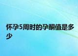 怀孕5周时的孕酮值是多少