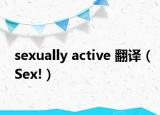 sexually active 翻译（Sex!）