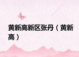 黄新高新区张丹（黄新高）