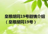 皇粮胡同19号剧情介绍（皇粮胡同19号）