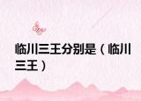 临川三王分别是（临川三王）