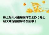 身上起大片疙瘩很痒怎么办（身上起大片疙瘩很痒怎么回事）