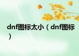 dnf图标太小（dnf图标）