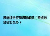 肾病综合征脾肾阳虚证（肾虚综合证怎么办）