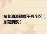 东莞清溪镇属于哪个区（东莞清溪）