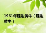 1961年延边黄牛（延边黄牛）