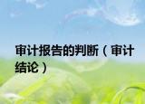 审计报告的判断（审计结论）