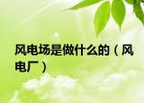 风电场是做什么的（风电厂）