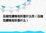 压缩性腰椎骨折是什么伤（压缩性腰椎骨折是什么）