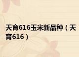 天育616玉米新品种（天育616）