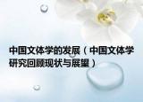 中国文体学的发展（中国文体学研究回顾现状与展望）