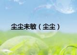 尘尘未敏（尘尘）